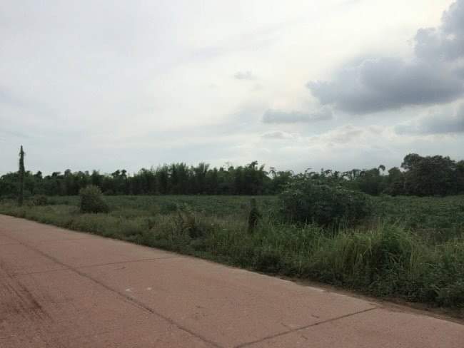 Land for sale in Prachinburi  (33-1-67 Rai) Owners Post
