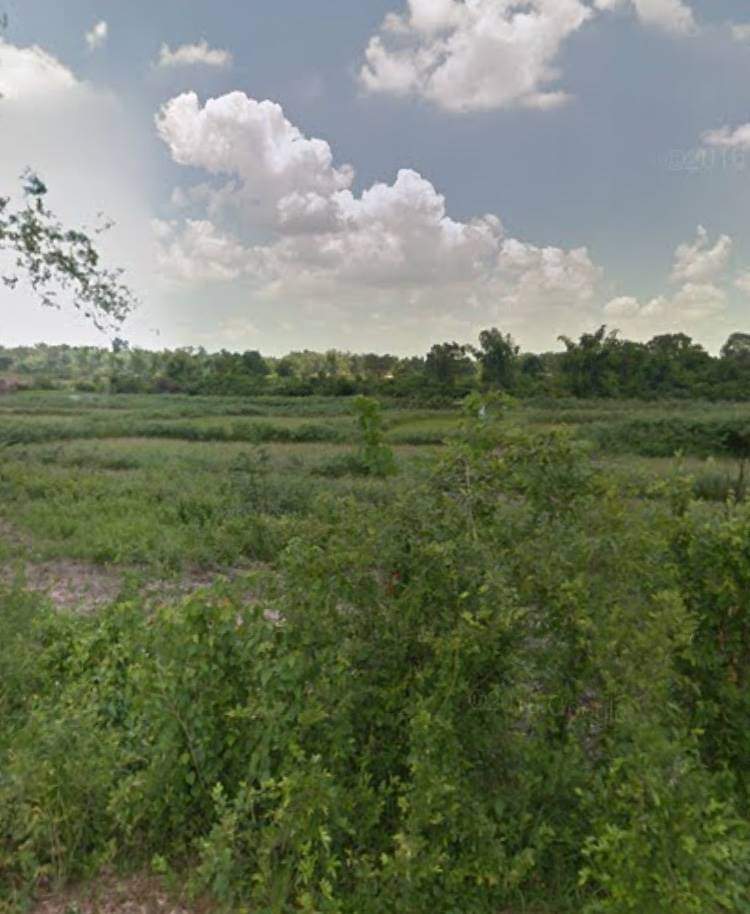 ขายที่ดินเปล่า อยู่ใกล้พุทธสถานราชธานีอโศก จ.อุบลราชธานี 61 ไร่  