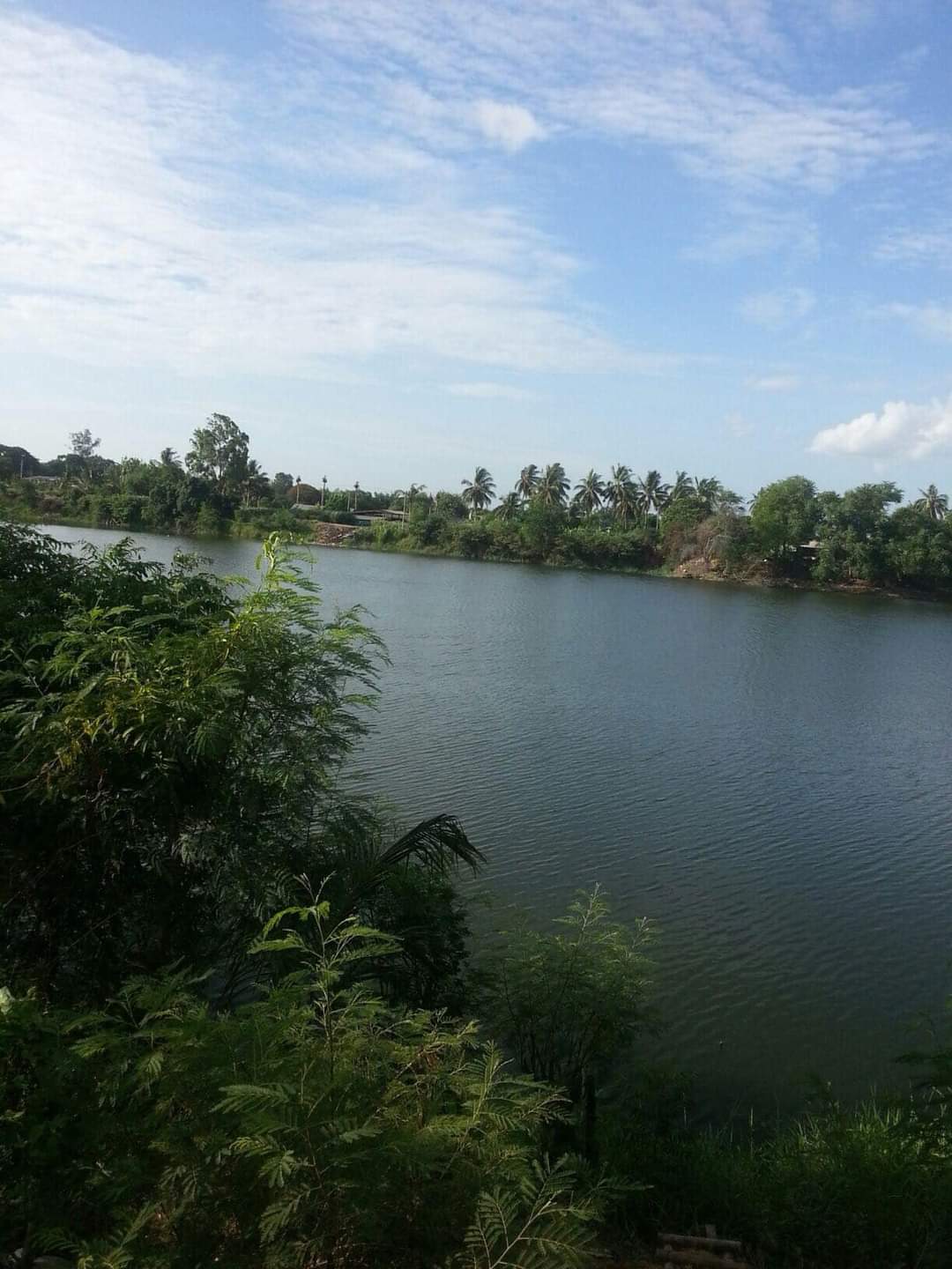 Land for sale in Nakhon Pathom (Owners Post)