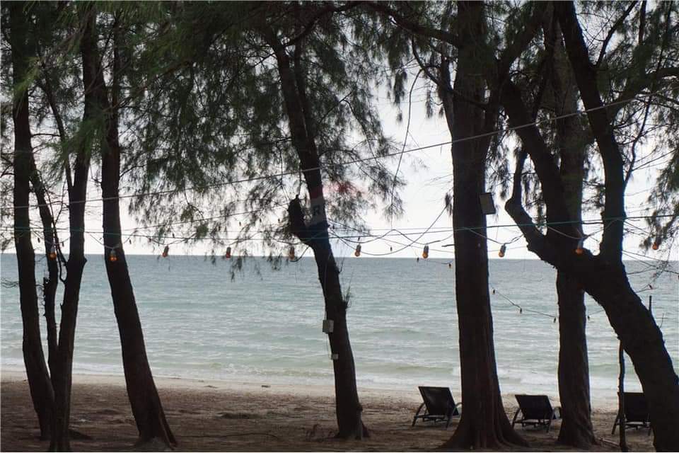 ขายที่ดินโครงการ VIP ระยอง  ติดหาดแม่รำพึง  114  ตรว. 