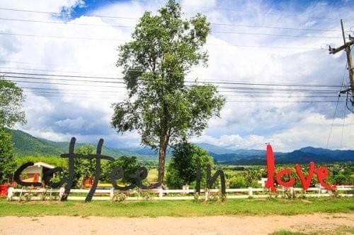 Land for sale in Thung Yao Hong Son Province (4-2-67 Rai) Owners Post