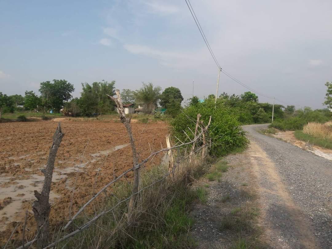 Land for for Sale in Dan Khun Thot District, Nakhon (Owners Post)
