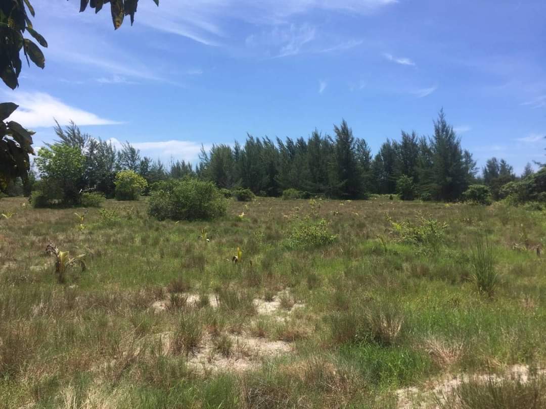 Land for sale in Koh Phra Thong ( 39-2-30 Rai ) Owners Post