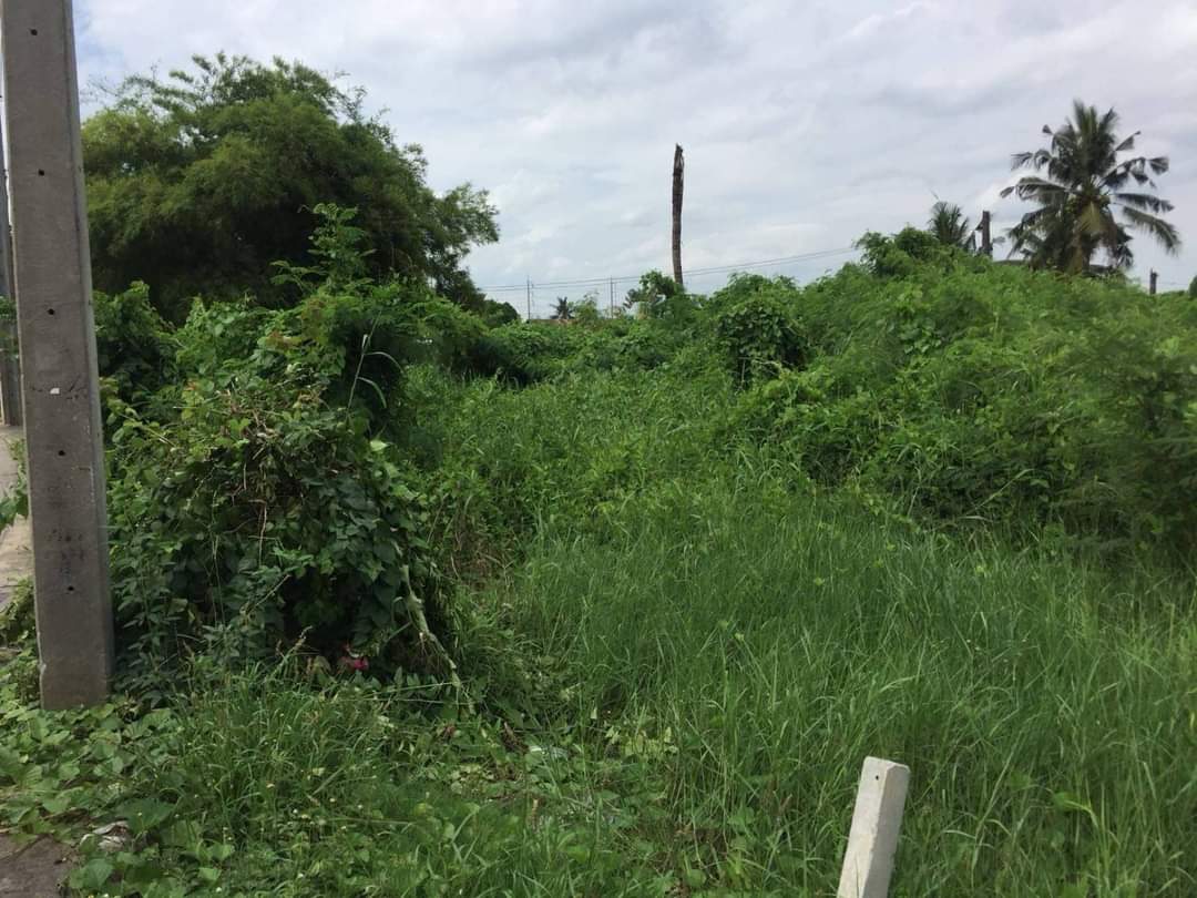 Land for Sale in Nakhon Pathom Province (Sale by Owner)