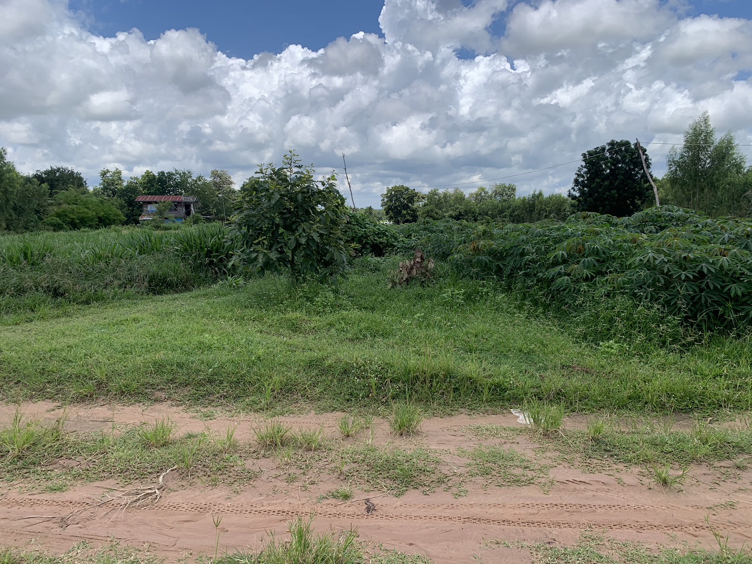 Land for sale, Nong Song Hong District, Khon Kaen Province.